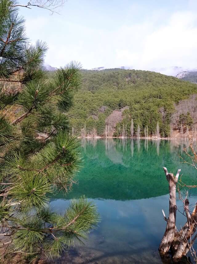 Санаторий Славутич Алушта-175