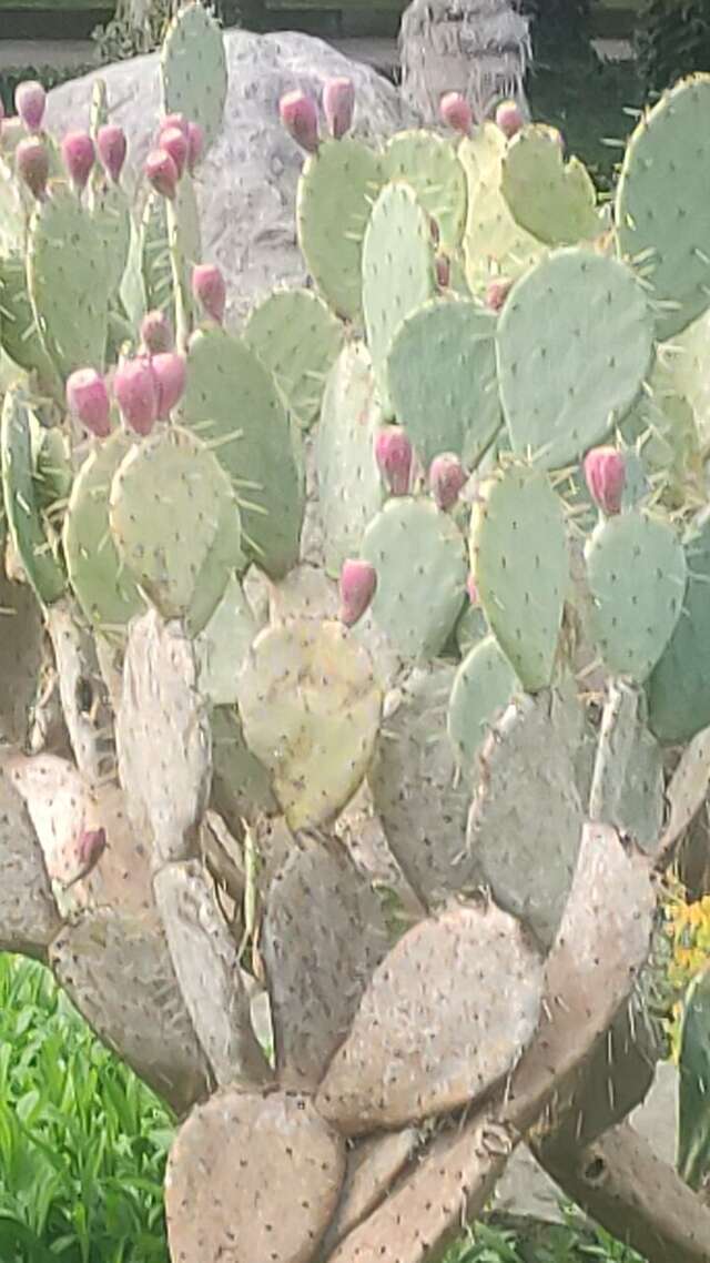 Санаторий Славутич Алушта-193